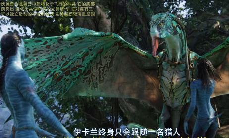 作品截图
