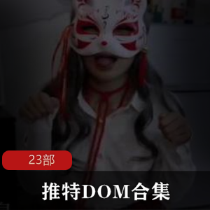 推特大神《DOM》窒息教育23部