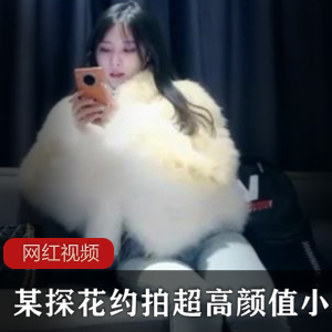 高颜值小姐姐的探花约拍作品