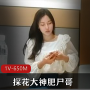 探花大神肥尸哥