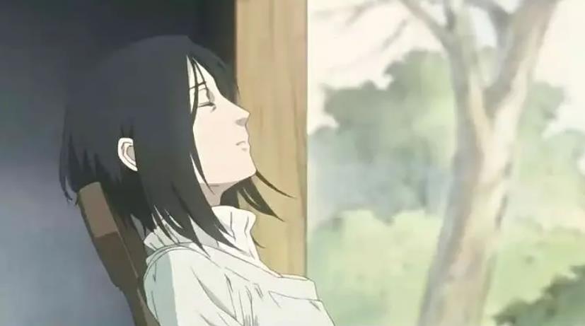 隐之王-高清日语中字全集，日本动漫推荐