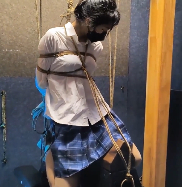 指教视频合集：雨辰工作室神秘主角，13V/26G，百度盘小众资源不容错过