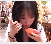 苏畅大合集：16部作品，总大小5.4G，三部曲等你观看！