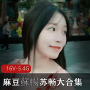 苏畅大合集：16部作品，总大小5.4G，三部曲等你观看！