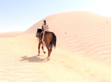 BreakingTheQuiet-人与马互动，口味重，超大量S