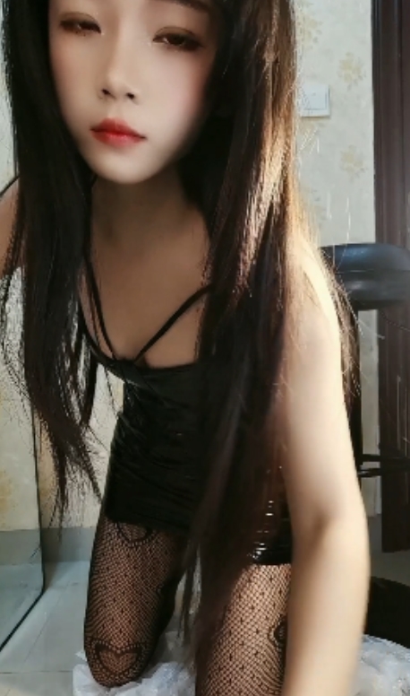 微胖小倔驴合集：41Vlog+10GIF，温馨轻松生活分享