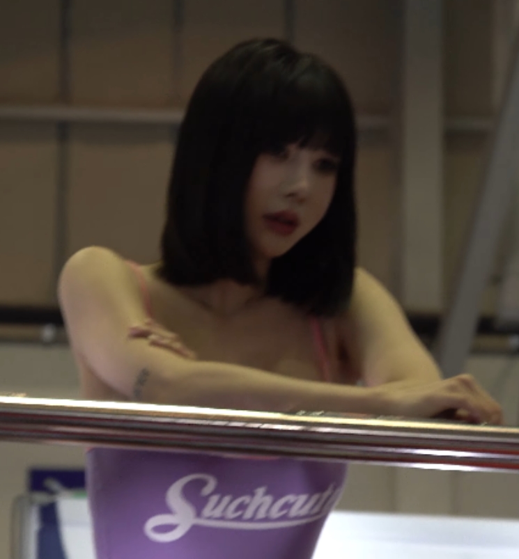 宋珠儿车模展出高清无圣光视频17V+4.34G资源