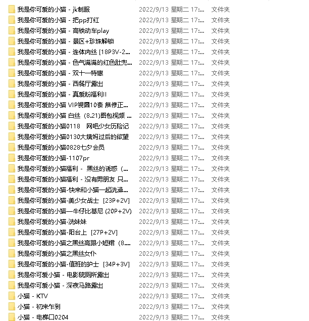 小猫PR社绝版资源全系列合集，8.41G视频数量109个