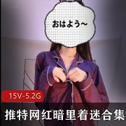 推特网红少女暗里着迷最新合集15V5.2G，身材白皙，展示魅力