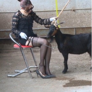 黑丝高跟鞋美女残忍骑羊高清定制视频1V600MB，神仙颜值