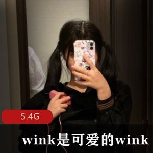 私房wink是可爱的wink粉嫩露脸多部5.4G私拍合集